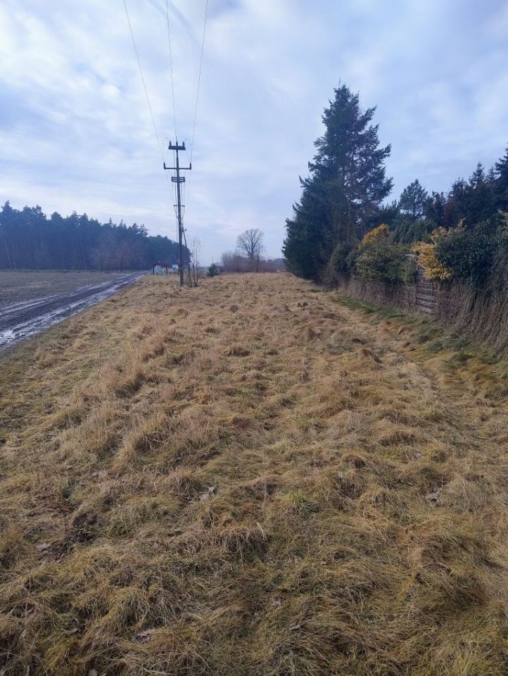 Działka budowlana Adamowo. Zdjęcie 1