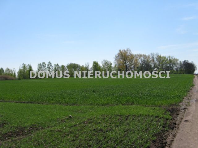 Działka rolna Kutno. Zdjęcie 7