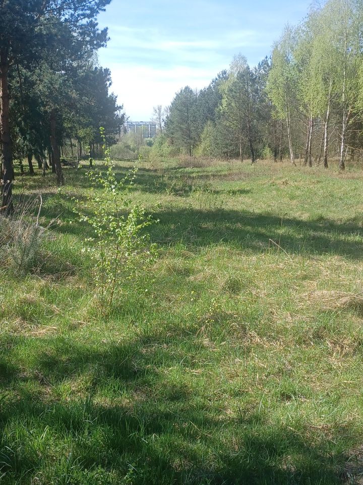 Działka budowlana Basznia Dolna Piaski, ul. Sportowa. Zdjęcie 10