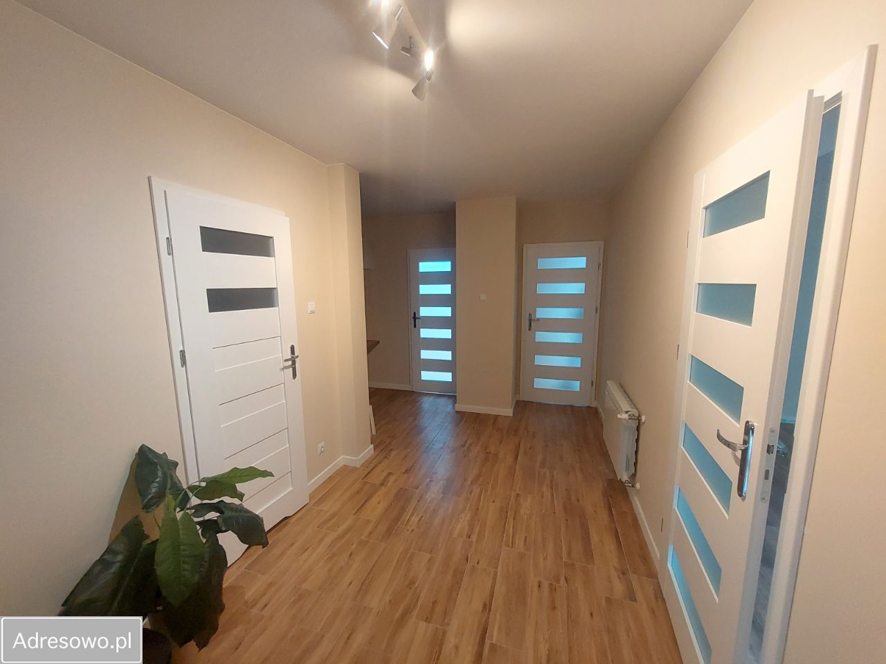 Lokal Skierniewice Centrum, ul. Strykowska. Zdjęcie 14