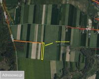 Działka rolna Pacierzów. Zdjęcie 3