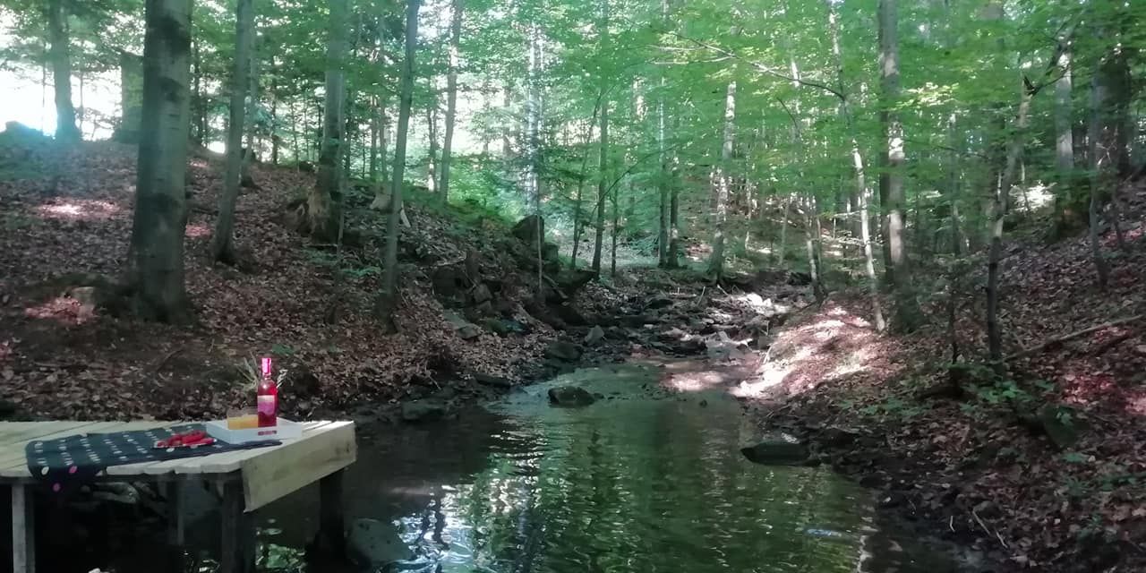 Działka budowlana Koszarawa Bystra. Zdjęcie 2