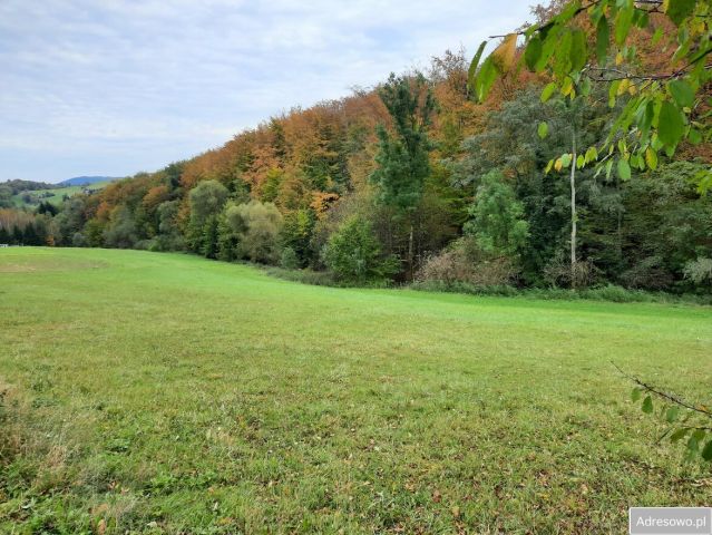 Działka budowlana Nowe Rybie. Zdjęcie 1