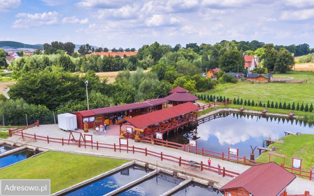 Działka rekreacyjna Bolkowice. Zdjęcie 1