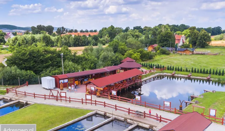 Działka rekreacyjna Bolkowice