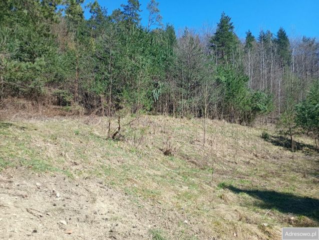 Działka budowlana Harbutowice. Zdjęcie 1