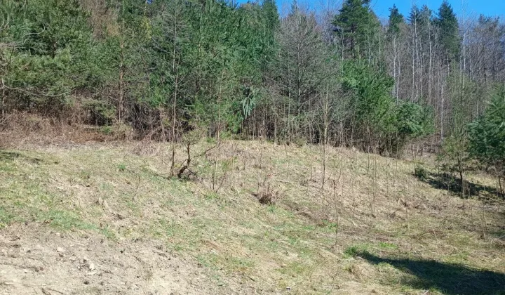 Działka budowlana Harbutowice