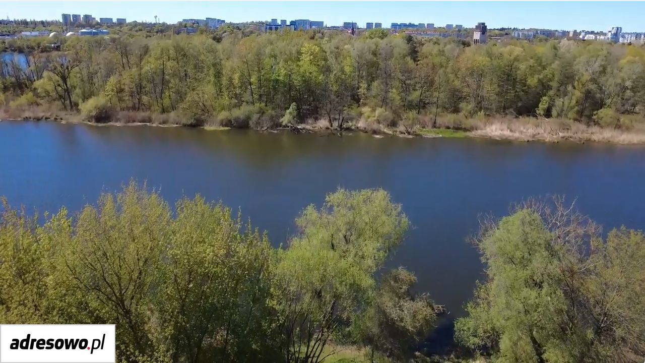 Działka rekreacyjna Szczecin Śródmieście, ul. Wiejska. Zdjęcie 7
