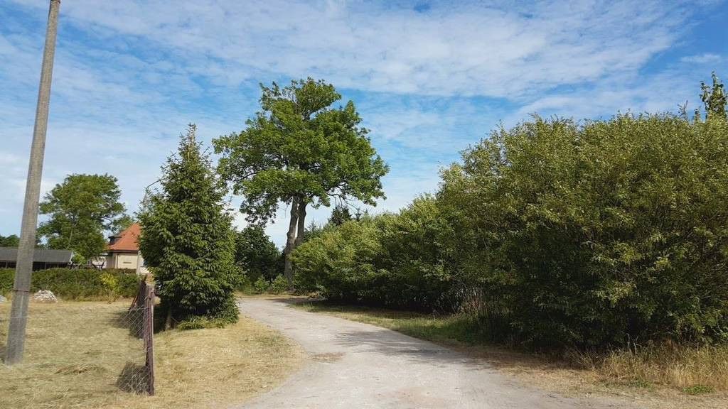 Działka budowlana Mrzeżyno, ul. Kasztanowa. Zdjęcie 5