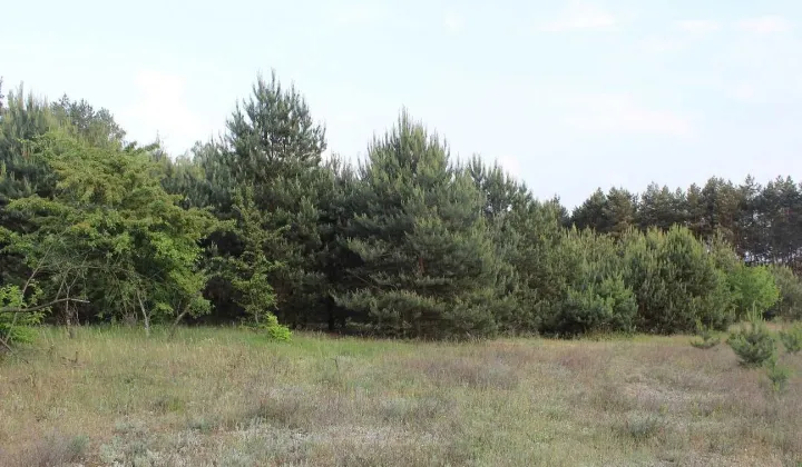 Działka budowlana Obrowo