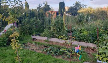 Działka rod Szczecin Śródmieście, ul. Marynarska