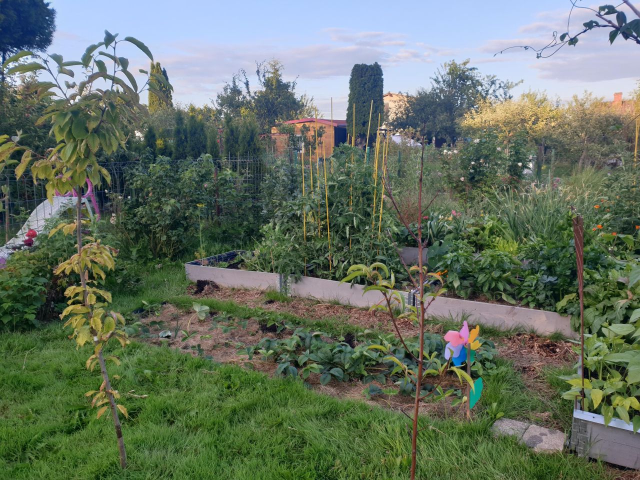 Działka rod Szczecin Śródmieście, ul. Marynarska. Zdjęcie 2