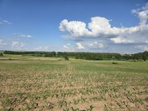 Działka rolna Kątno. Zdjęcie 4