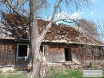 Działka rolna Jawor. Zdjęcie 4