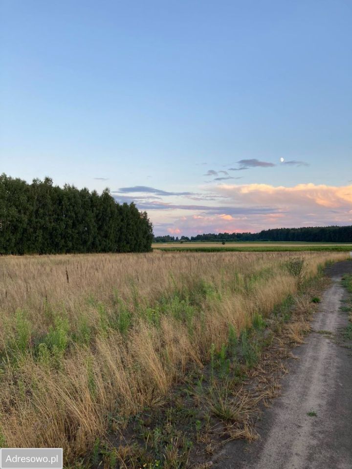 Działka Zalew. Zdjęcie 8