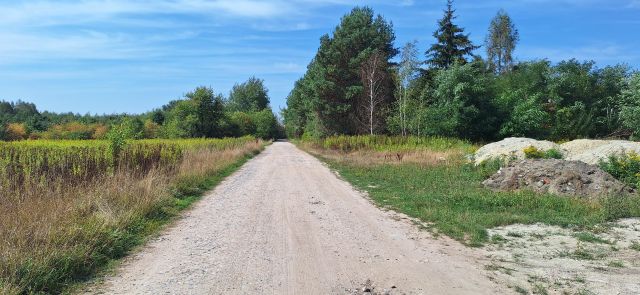 Działka budowlana Dziechciniec, ul. Topolowa. Zdjęcie 1