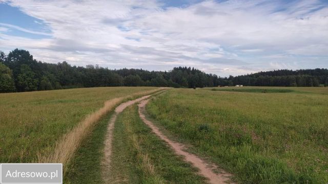 Działka rolno-budowlana Pomlewo, ul. Wiejska. Zdjęcie 1