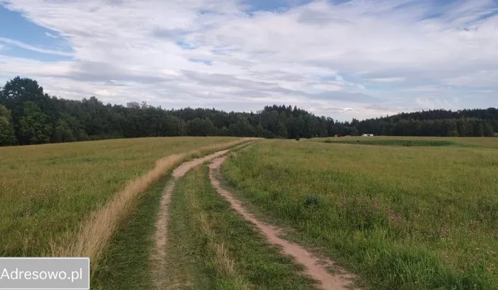 Działka rolno-budowlana Pomlewo, ul. Wiejska