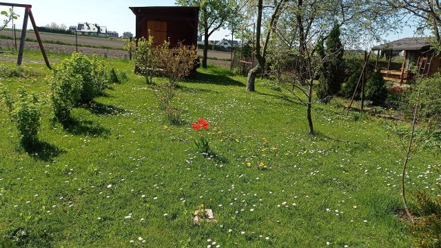 Działka rekreacyjna Gliwice Sikornik, ul. Biegusa. Zdjęcie 1