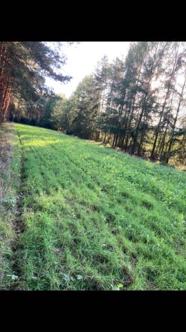 Działka rolno-budowlana Mieleszynek. Zdjęcie 1