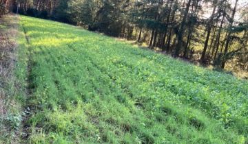 Działka rolno-budowlana Mieleszynek