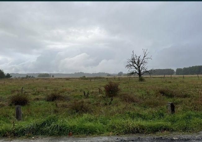 Działka budowlana Chudzowice. Zdjęcie 4