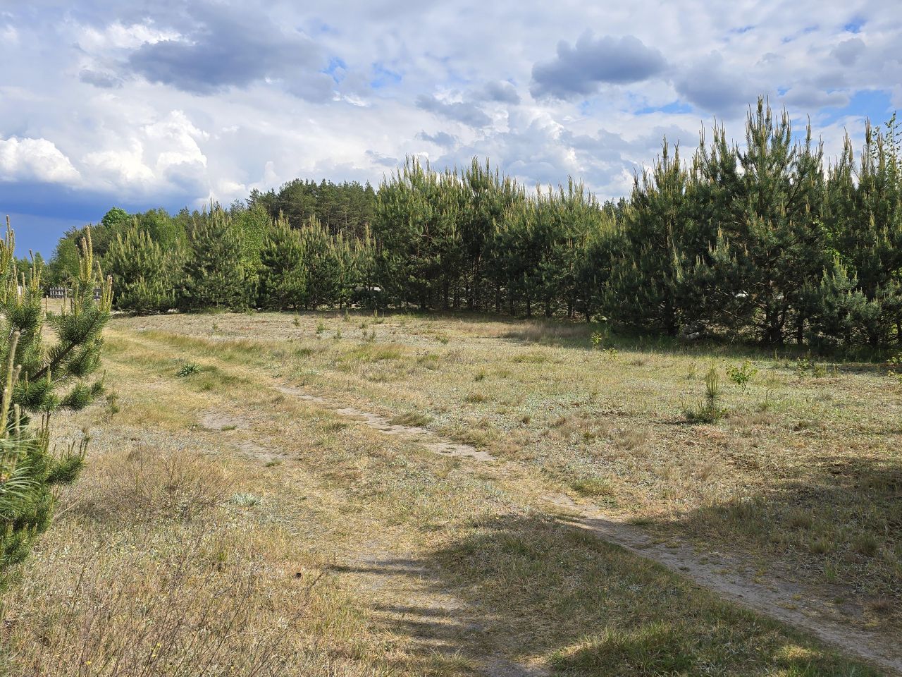 Działka budowlana Brzozowe Błota. Zdjęcie 6