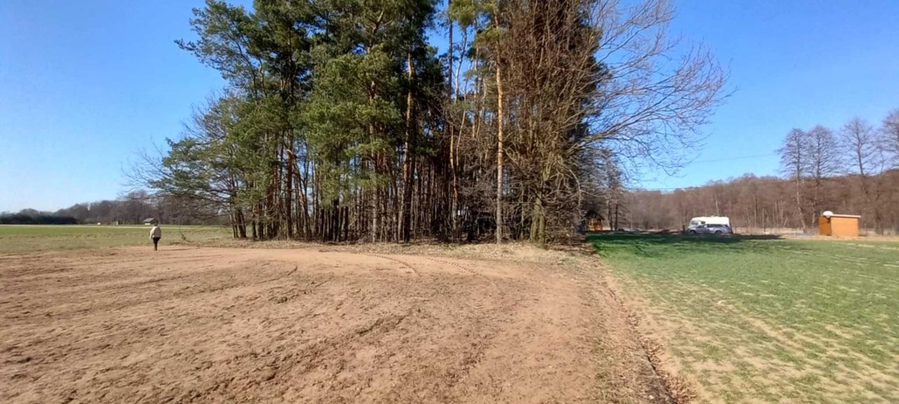 Działka leśna Plewica