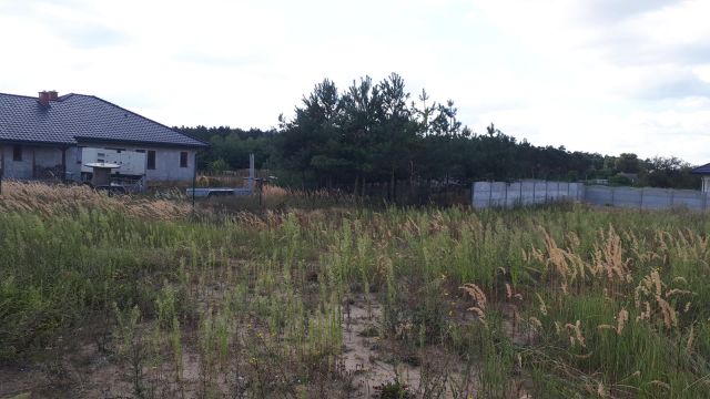 Działka rolno-budowlana Szyszyńskie Holendry. Zdjęcie 7