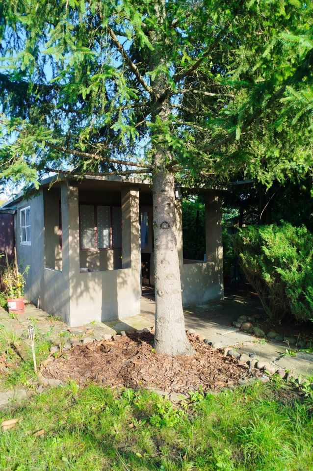 Działka rod Inowrocław. Zdjęcie 4