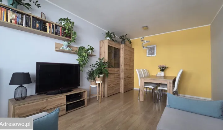 Mieszkanie 2-pokojowe Poznań Nowe Miasto, ul. Smolna