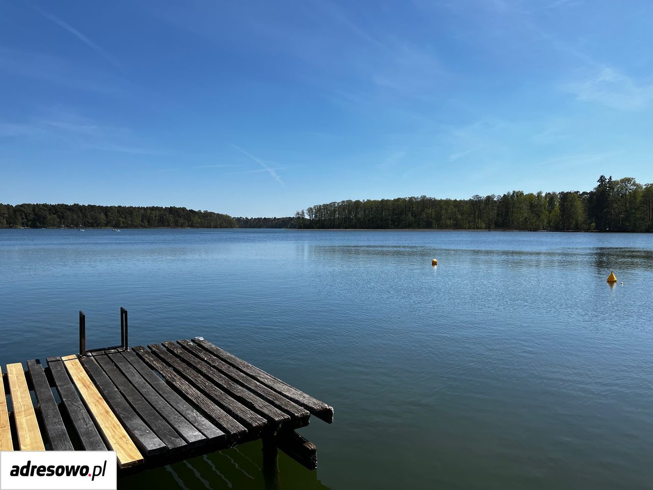 Działka rolno-budowlana Grotów. Zdjęcie 13