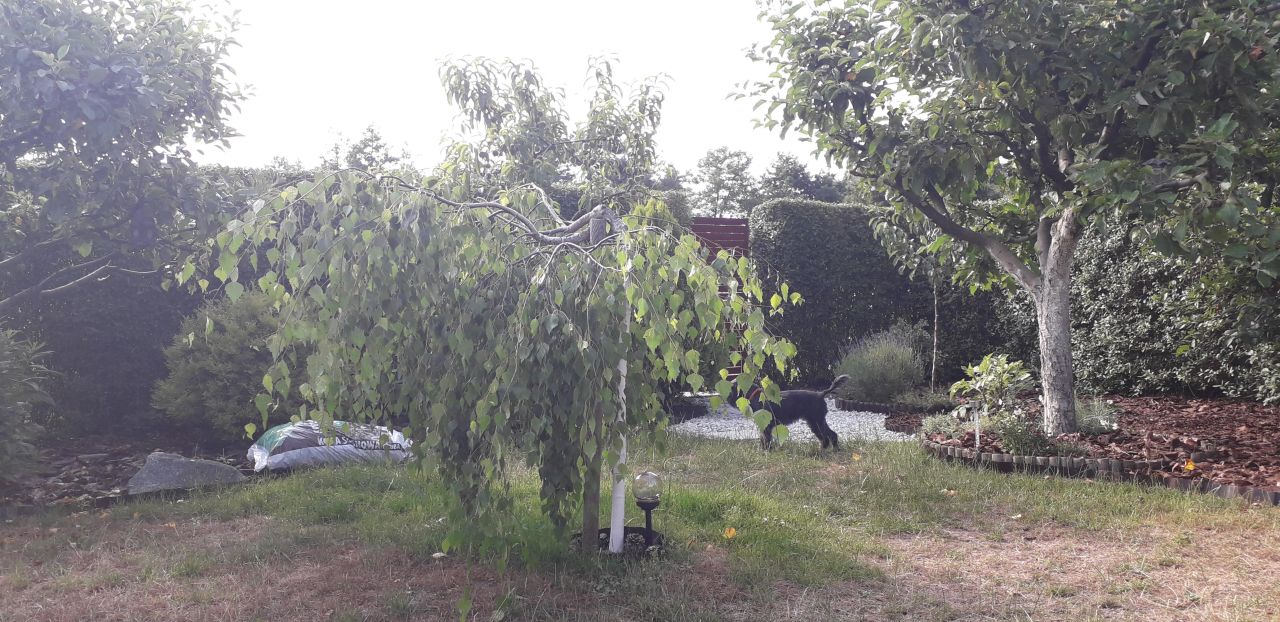 Działka budowlana Strykowo, ul. Pawia. Zdjęcie 6