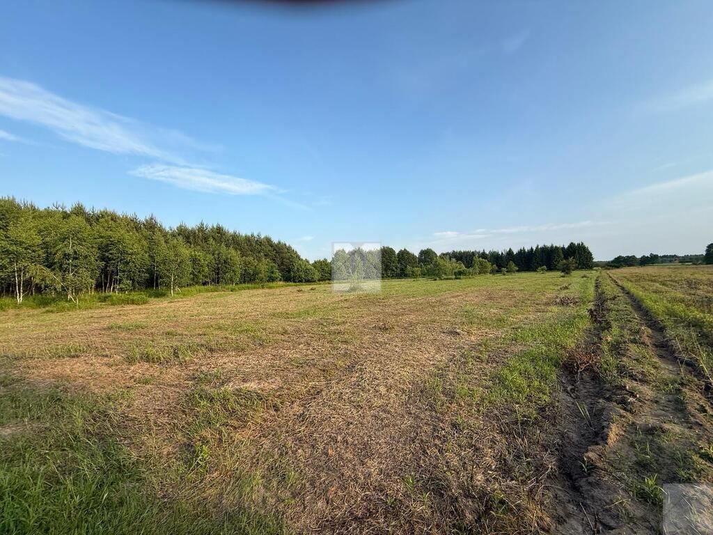 Działka rekreacyjna Radawa, ul. Cienkie. Zdjęcie 10