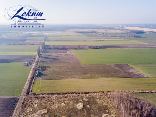 Działka siedliskowa Przybyszewo. Zdjęcie 4