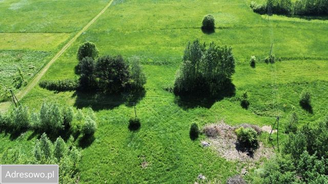 Działka rolno-budowlana Janowice. Zdjęcie 1