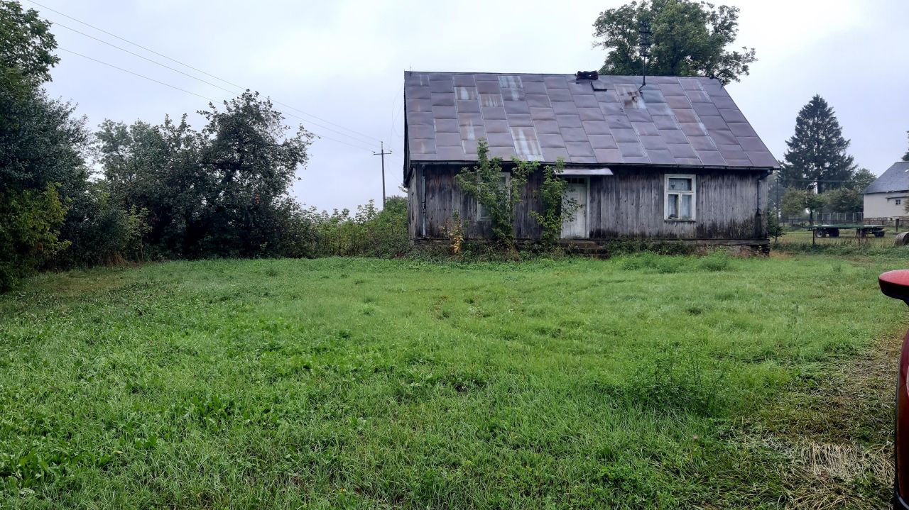 Działka siedliskowa Łoje-Awissa. Zdjęcie 6