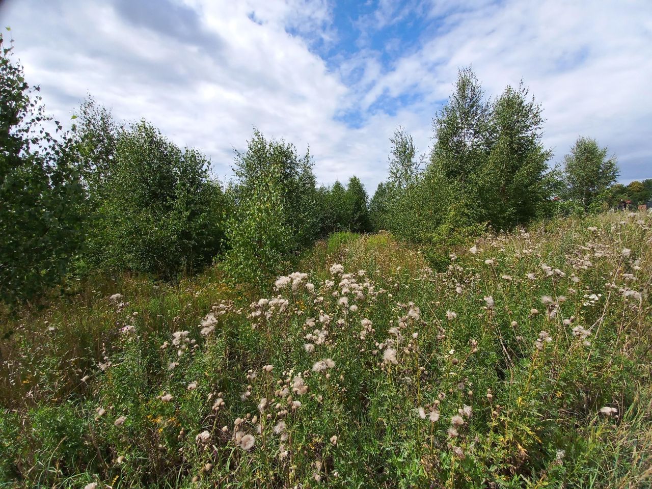 Działka rolno-budowlana Głotowo. Zdjęcie 6