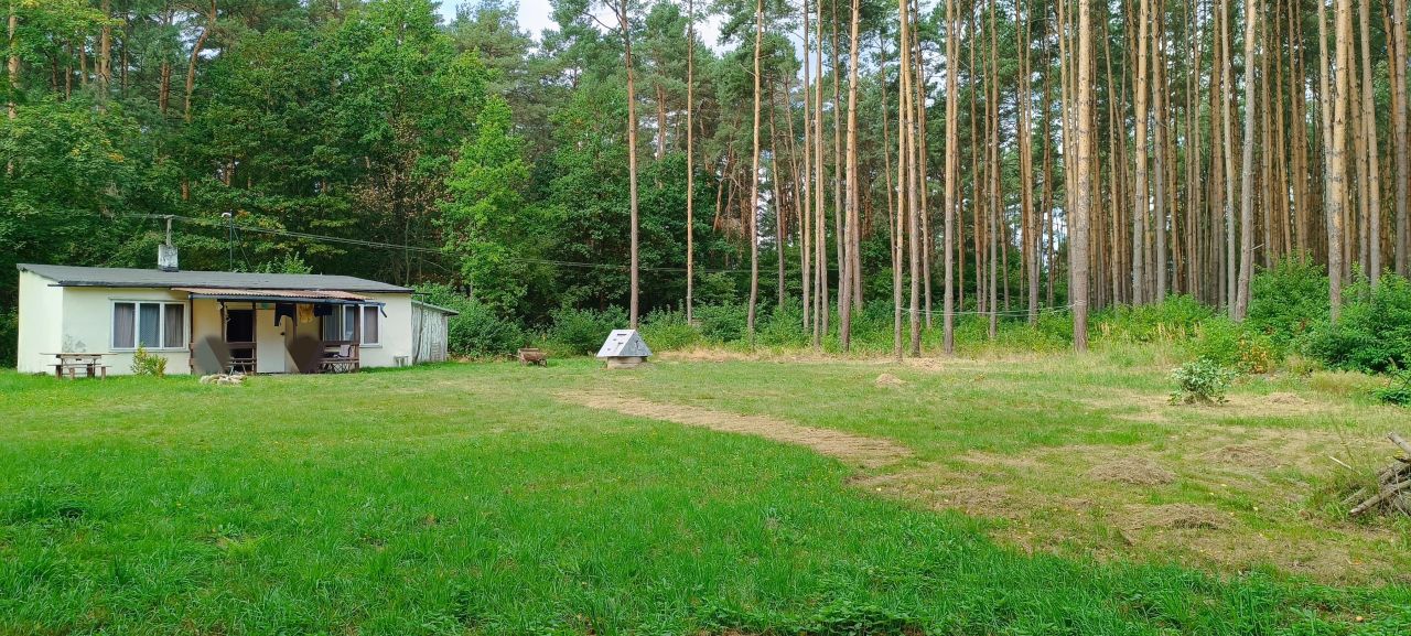 Działka rekreacyjna Budy Grabskie. Zdjęcie 7