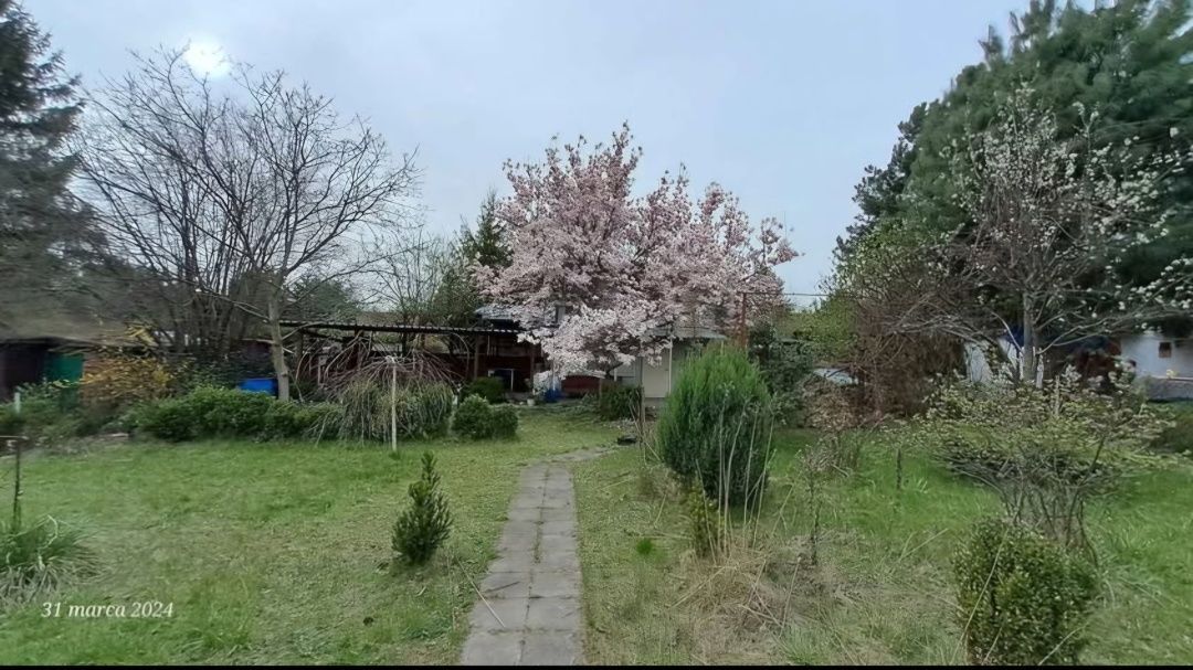 Działka rod Sosnowiec. Zdjęcie 7