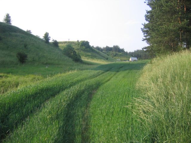 Działka budowlana Pacółtowo, ul. Kolorowa. Zdjęcie 1