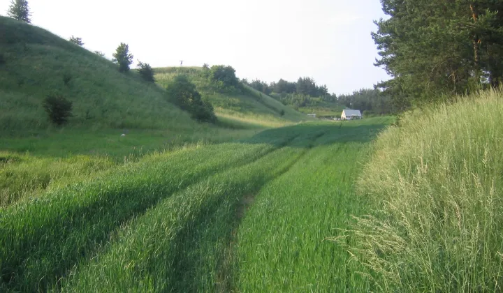 Działka budowlana Pacółtowo, ul. Kolorowa