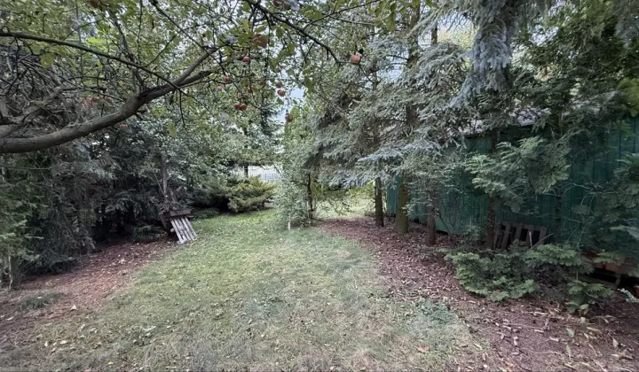 Działka rod Gniezno