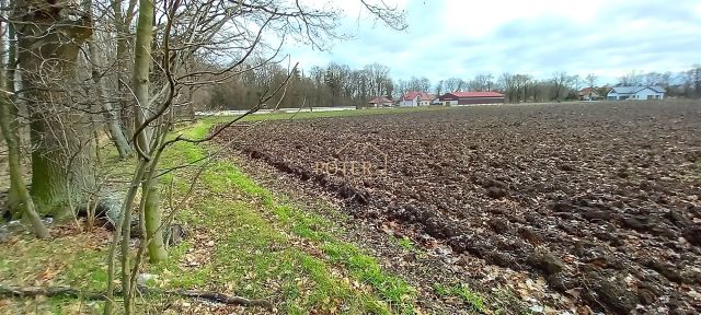 Działka budowlana Tyniec Mały. Zdjęcie 5