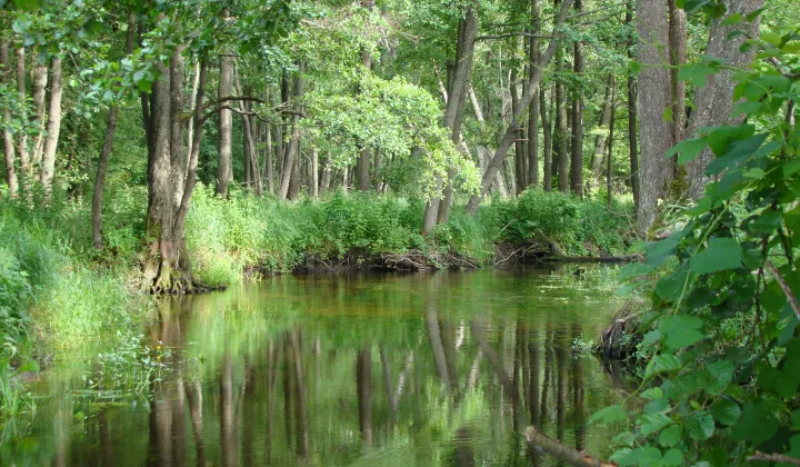Działka rolno-budowlana Stanowisko