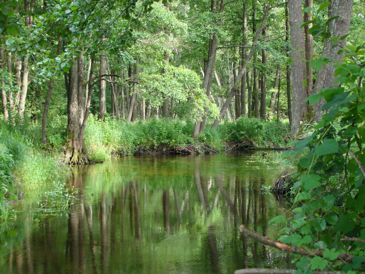 Działka rolno-budowlana Stanowisko