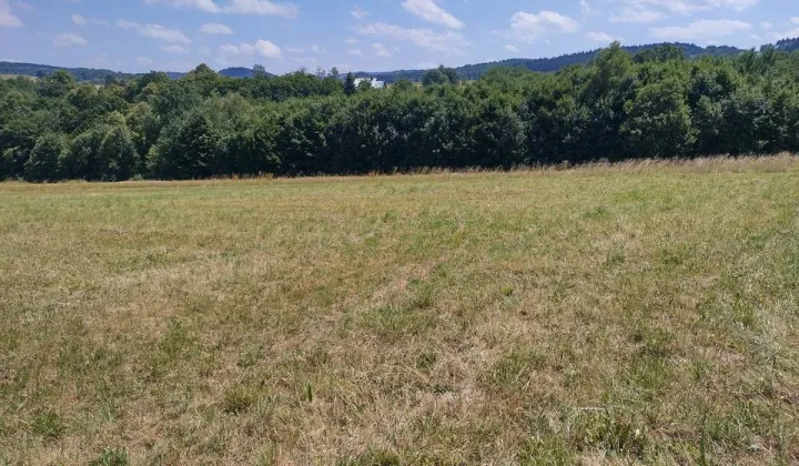 Działka budowlana Skawinki, ul. Źródlana