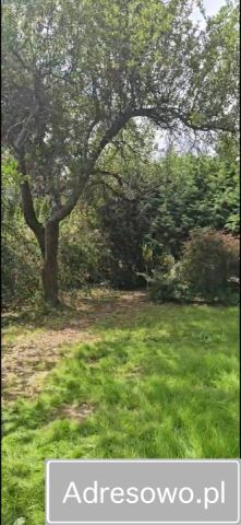 Działka rod Warszawa, ul. Augustówka. Zdjęcie 1