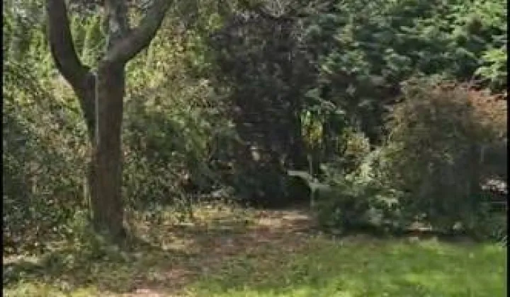 Działka rod Warszawa, ul. Augustówka