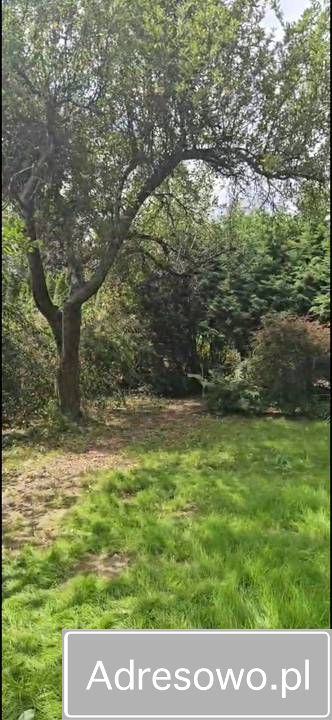 Działka rod Warszawa, ul. Augustówka